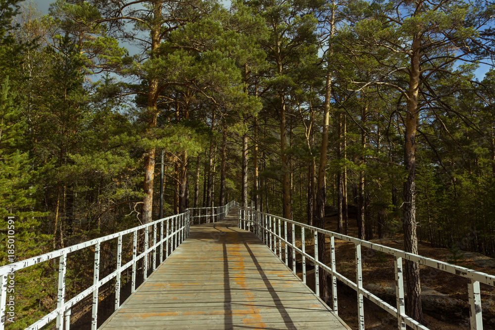 Obraz premium Kazakhstan, Kokshetau resort and forest