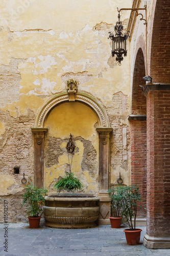 A view of the antique fountain in the courtyard decorated with a pulley and a chain of hanging ferns photo
