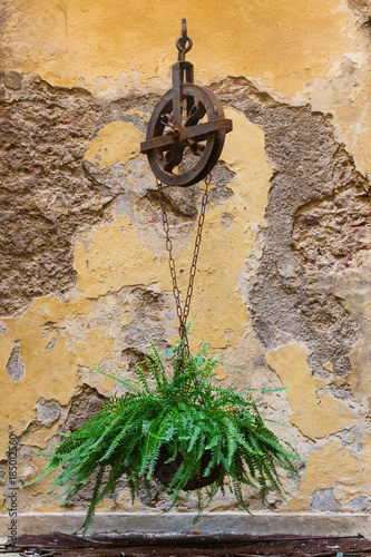 A view of the antique fountain in the courtyard decorated with a pulley and a chain of hanging ferns photo