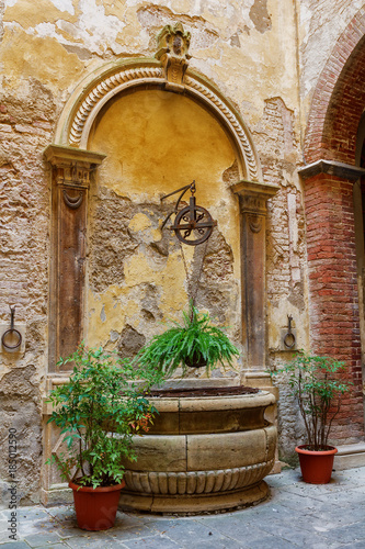 A view of the antique fountain in the courtyard decorated with a pulley and a chain of hanging ferns photo