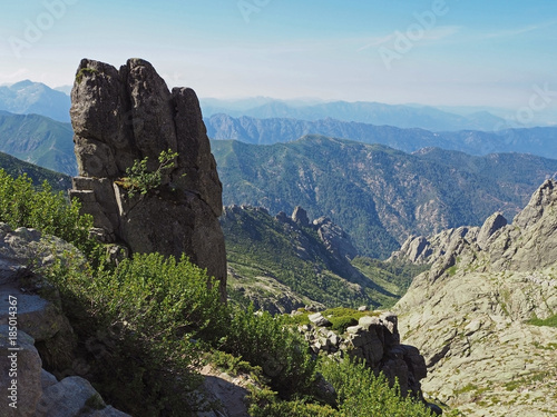 Fototapeta Naklejka Na Ścianę i Meble -  beautiful scenery of high mountain lake in corsician alpes with rocks green bushes and blue sky background on gr20 famous trek