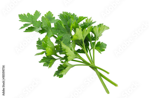 Parsley isolated on a white background