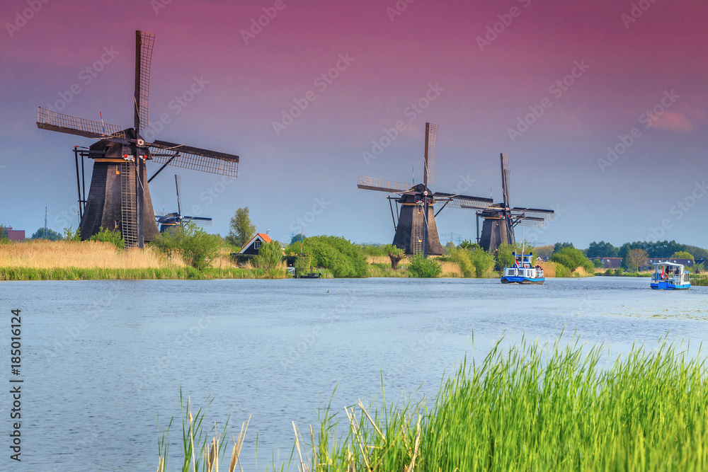Naklejka premium Spectacular windmills in Kinderdijk museum with colorful sunset, Netherlands, Europe