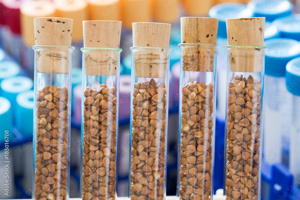 gene banks plants Stock Photo Adobe Stock