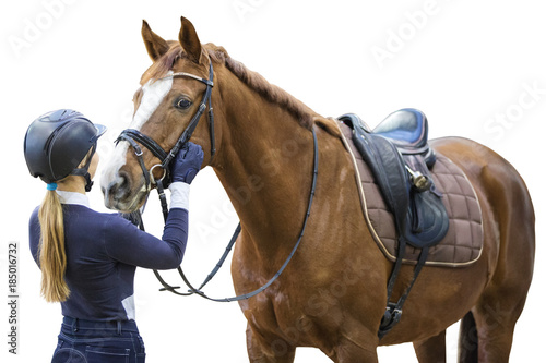 Equestrian sportsman with a horse isolated on white background.