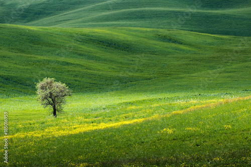 Beautiful Tuscany landscape, Italy