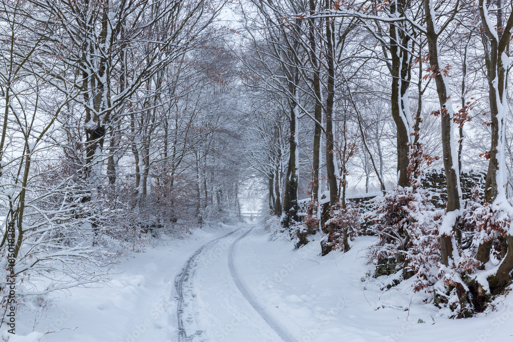 Straße im Winter in der Eifel