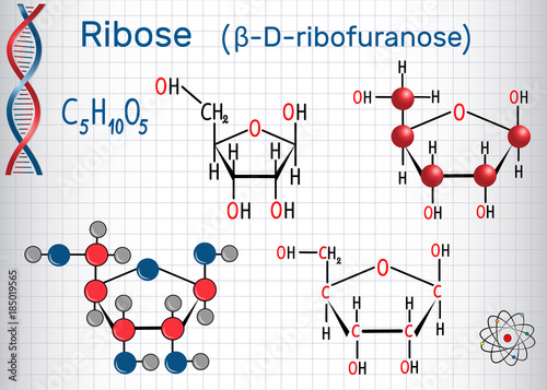 Ribose (β-D-ribofuranose) molecule, it is a pentose monosaccharide (simple sugar), it forms part of the backbone of RNA
