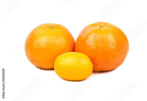 Mandarin and kumquat