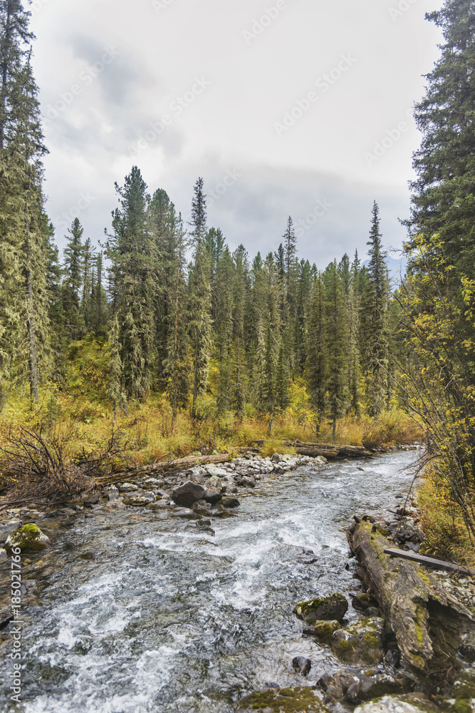 Multa river. Altai mountains autumn landscape Multa river. Altai mountains autumn landscape