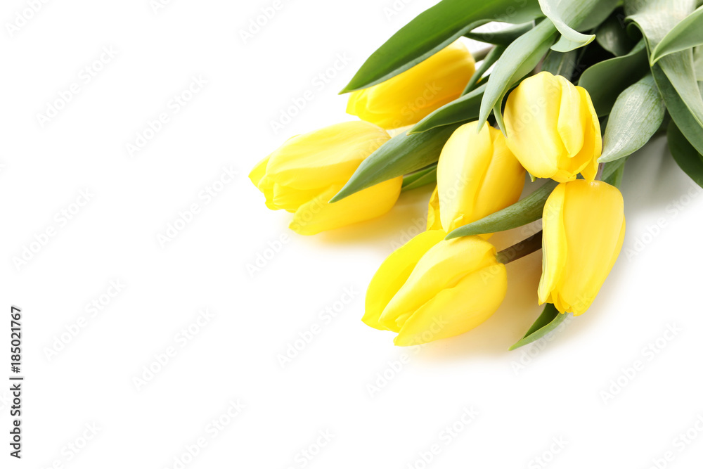 Bouquet of yellow tulips isolated on a white Bouquet of yellow tulips isolated on a white