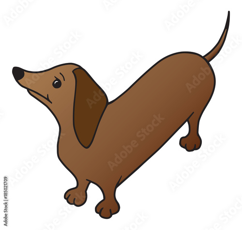 Cartoon wiener dog is staring upward expectantly