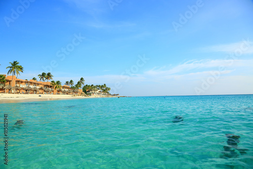 Amazing beauty white sand beach of Aruba Island. Turquoise sea water and blue sky. Beautiful background. © Alex