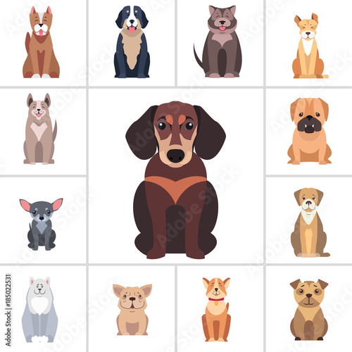 Dachshund and Other Dog Breeds Illustrations Set