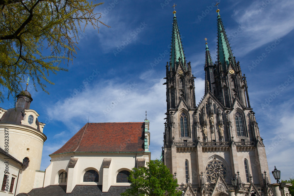 Fototapeta premium Cathedral of Saint Wenceslas, Olomouc, Czech Republic