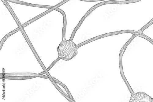 Neuron system wireframe mesh model. Low poly vector illustration. Science and medical healthcare concept