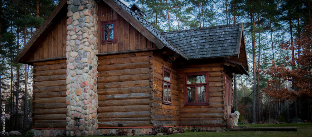 a rural wooden house with logs covered with shingles with white Tatra Sheepdog sitting on the threshold under the entrance door