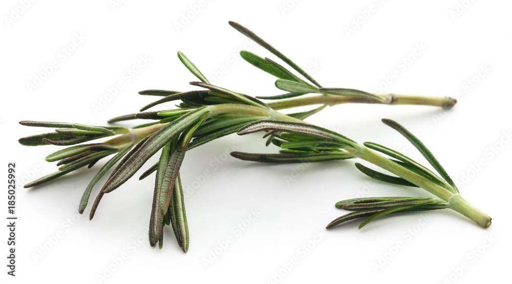 Fototapeta premium Fresh organic rosemary