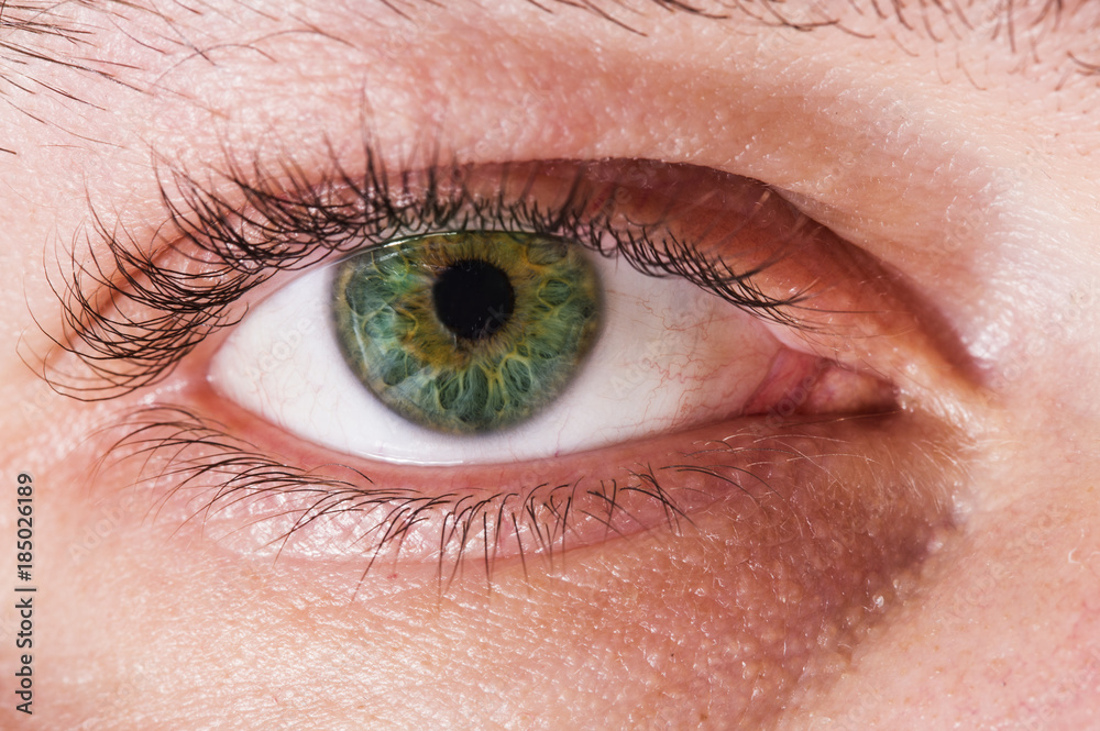 Obraz premium Close up of human eye