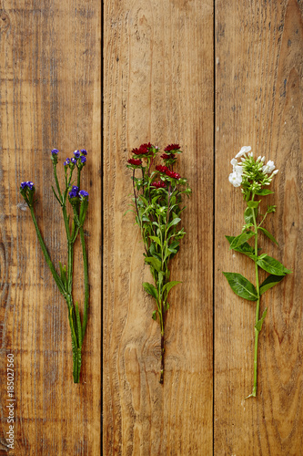 three wild flowers on wooden table graphic view