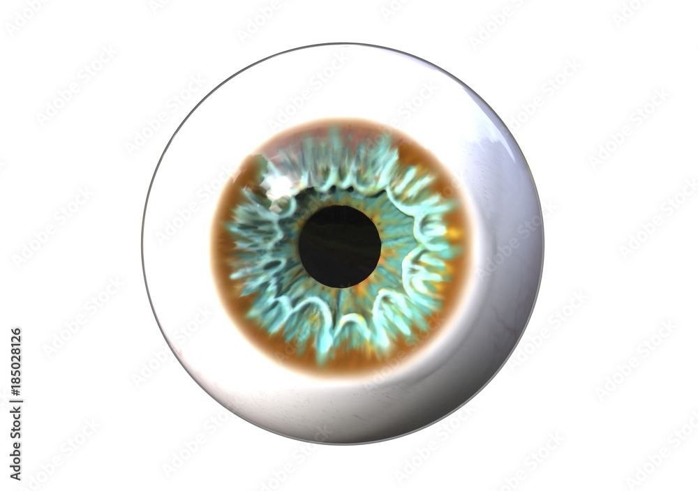 Realistic human eye isolated on white background, 3D illustration Realistic human eye isolated on white background, 3D illustration
