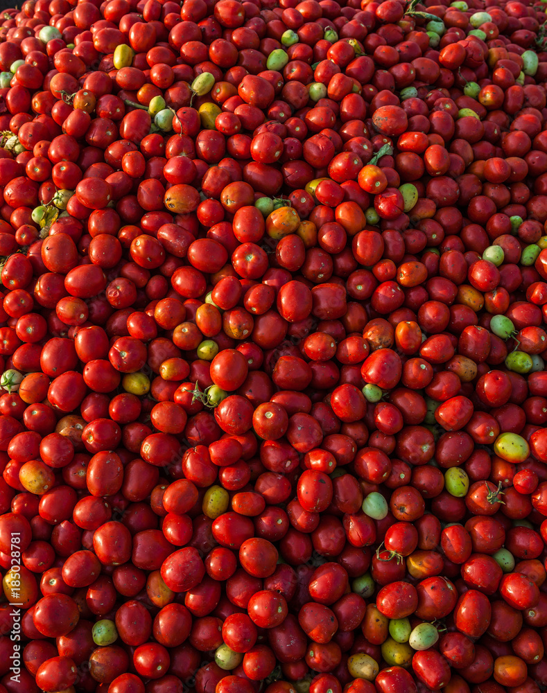 Tomates Tomates