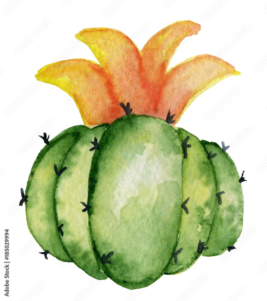 Naklejka premium Watercolor tropical cactus hand drawn illustration isolated on white background