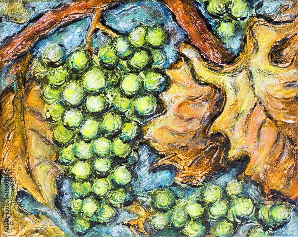 Obraz premium Ripe White Grape Illustration Painting