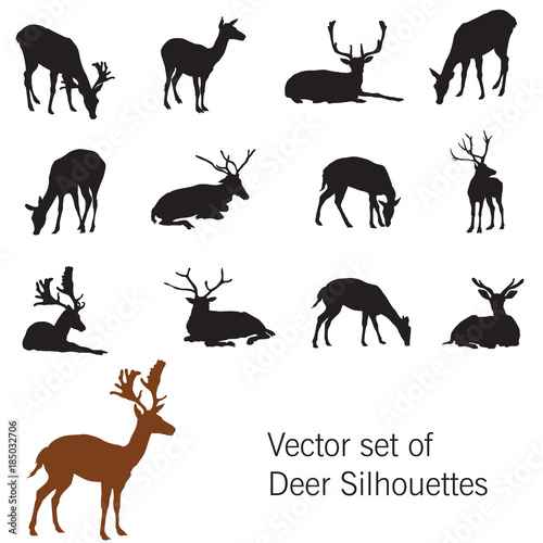 Vector set of deer silhouettes