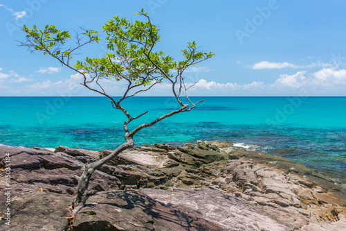 Beautiful rocky coast on Koh Kood island in Thailand © Mazur Travel