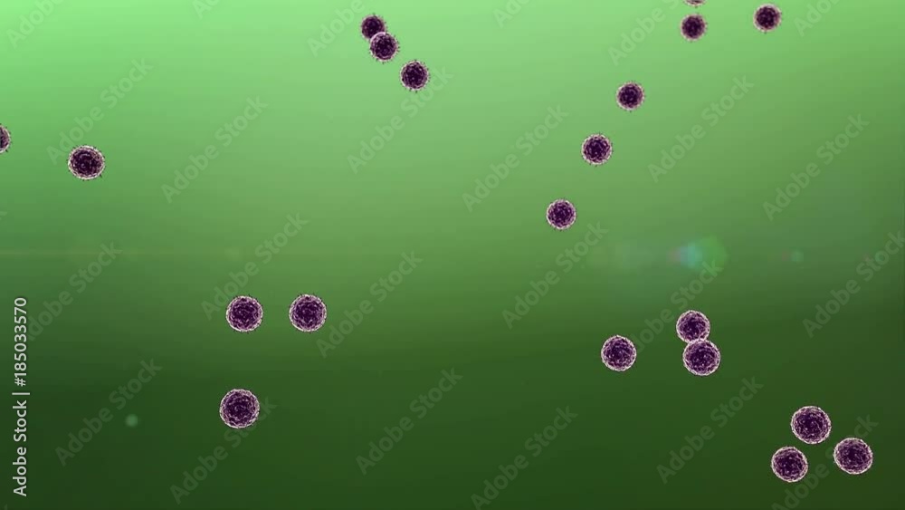 Coronavirus cell and Lymphocytes, T-lymphocytes attack the viruses, virus attacked by lymphocytes, Macrophage on the bllue background Coronavirus cell and Lymphocytes, T-lymphocytes attack the viruses, virus attacked by lymphocytes, Macrophage on the bllue background