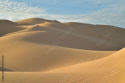 sand dunes in Imperial Sand Dunes BLM lands  California  USA