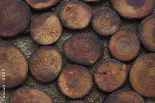 tree stumps background