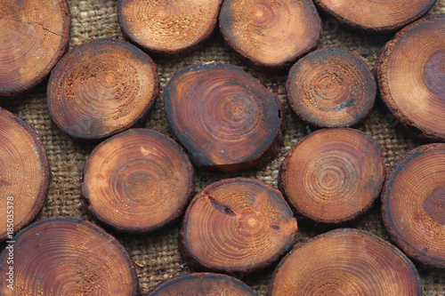 tree stumps background