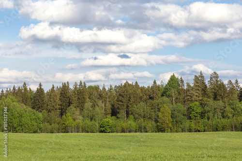 The green field, the wood, the blue sky with clouds. Latvia, to Vidzeme. Summer, sunny day.Copy space.