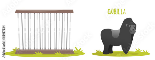  illustration of gorilla