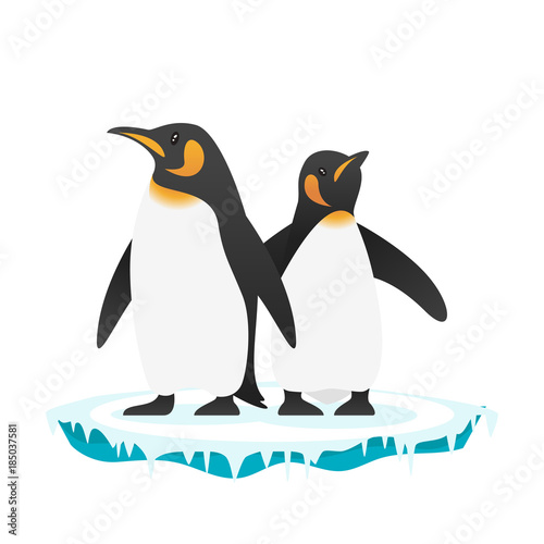  illustration of penguins