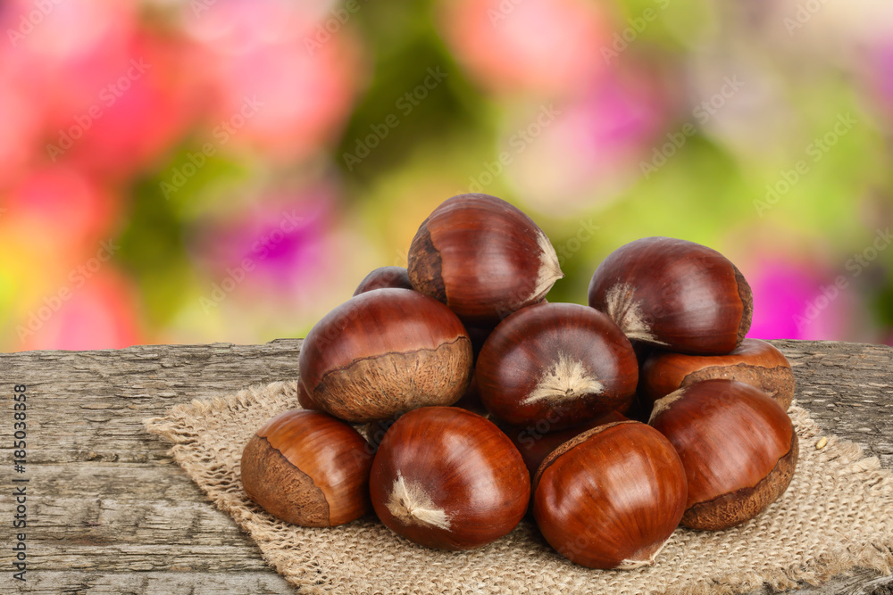 Obraz premium chestnut on the old wooden table with blurred garden background