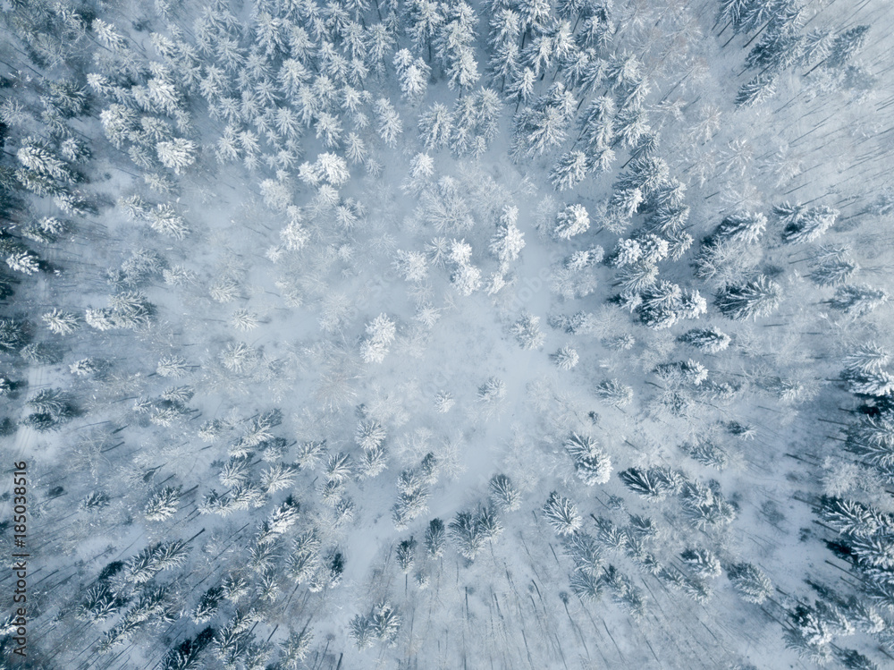 Aerial view of snow covered forest in winter in Switzerland, Europe Aerial view of snow covered forest in winter in Switzerland, Europe