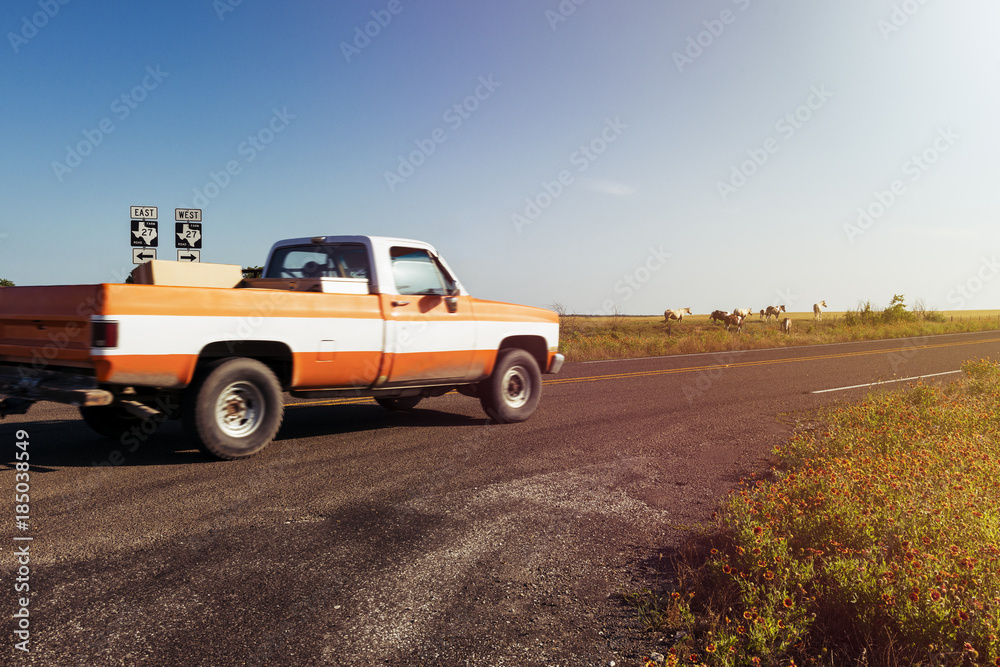An old pickup truck riding along a farm road with a ranch and horses on the background at sunset in rural Texas, USA; Concept for travel in Texas and in the USA