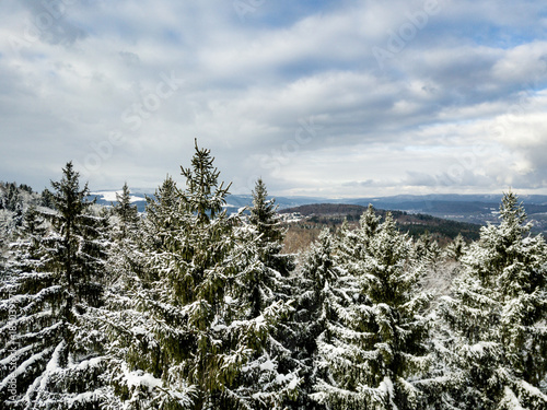 Aerial view of snow covered forest in winter in Switzerland, Europe