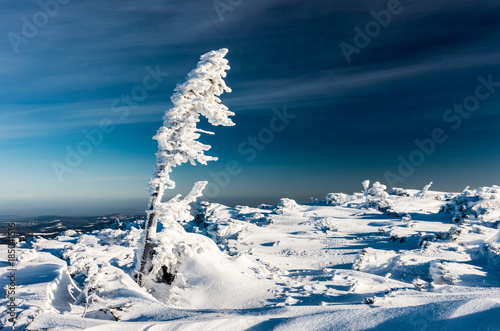 Fototapeta Naklejka Na Ścianę i Meble -  Winter mountain snowy landscape
