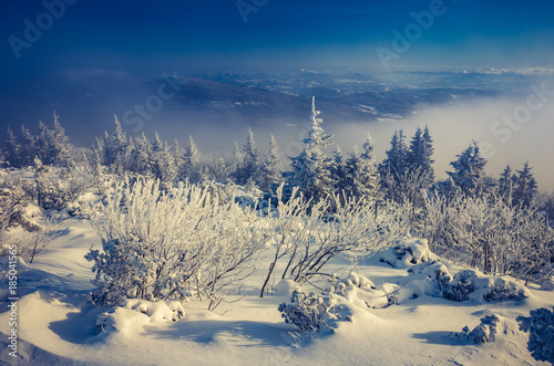Fototapeta Naklejka Na Ścianę i Meble -  Winter landscape in snowy mountains, Poland