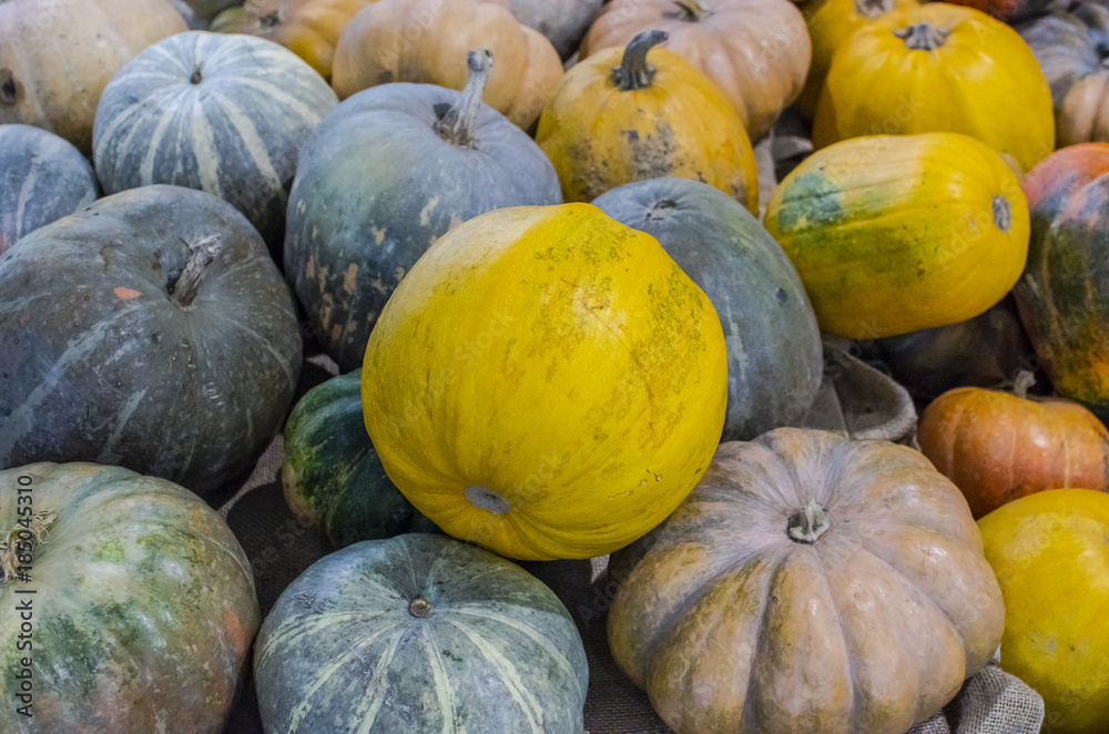 pile of pumpkins