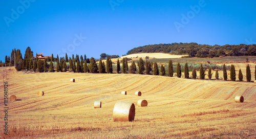 Tuscan landscape