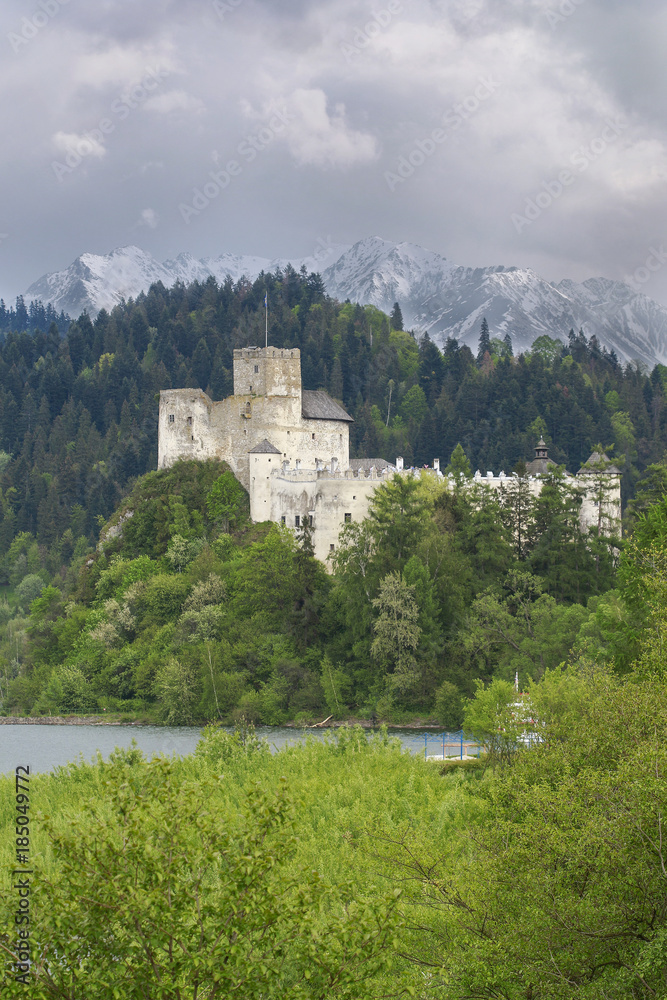 Naklejka premium Old castle in the mountains