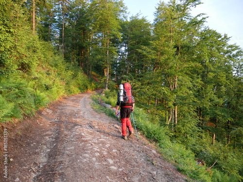 Man in the mountains and forest on a hiking trip with a backpack and poles.