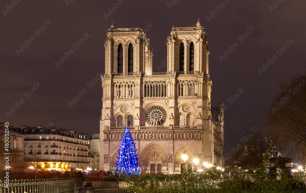 The Notre Dame Cathedral with Christmas tree - Paris, France