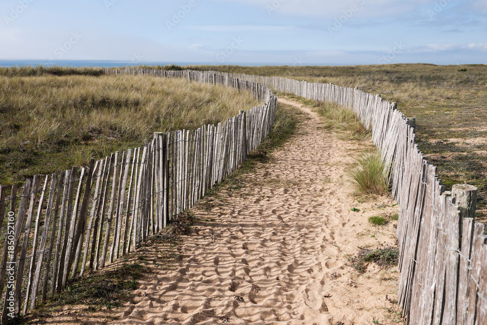 Obraz premium Walkway to the beach