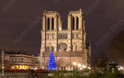 The Notre Dame Cathedral with Christmas tree - Paris  France